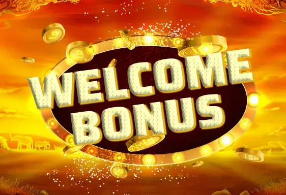 Royal Ace new player bonus